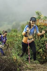 BIB: 5159
                            <button type="button" onclick="openModal(24760697)" class="btn btn-primary btn-sm float-right btn-popup" data-toggle="modal" data-target=".modal-high-quality">
                        <i class="fas fa-shopping-cart"></i> Add to Cart
                    </button>
                                            <button type="button" onclick="isThisMe(24760697, true)" class="btn btn-success btn-sm float-right btn-popup btn-isme hidden" data-toggle="tooltip" data-placement="bottom" title="นี่คือรูปของคุณใช่ไหม คลิกที่นี่เพื่อเอาเข้าอัลบั้ม">
                        <i class="fas fa-plus"></i> Add to album
                    </button>
                    <button type="button" onclick="isThisMe(24760697, false)" class="btn btn-warning btn-sm float-right btn-popup btn-isnotme hidden">
                        <i class="fas fa-ban"></i> Remove from album
                    </button>